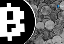 Understanding Blum Coin Price Trends: A Comprehensive Guide
