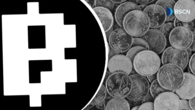 Understanding Blum Coin Price Trends: A Comprehensive Guide