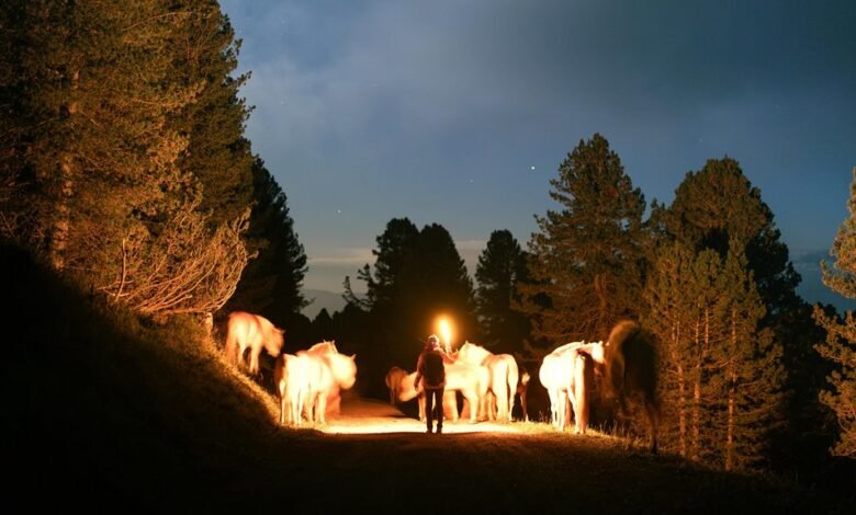 bhag lakshmi gameplay instructions guide