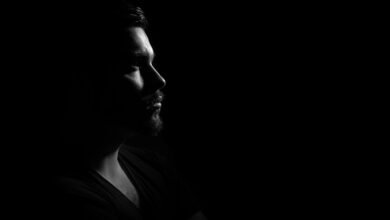 olivomundo profile features overview