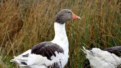 profile updates for qozloxdur25