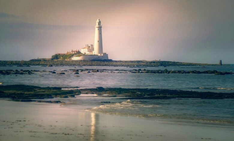 qualia collection services overview