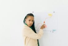 identifier risk review outline