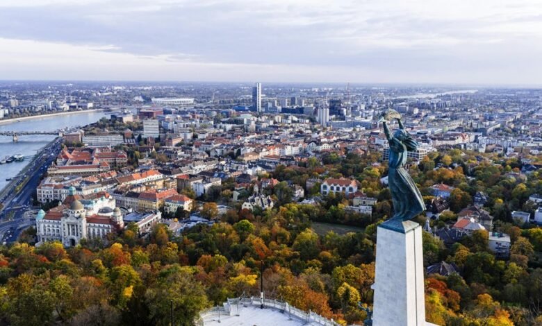 line status overview 8557480061