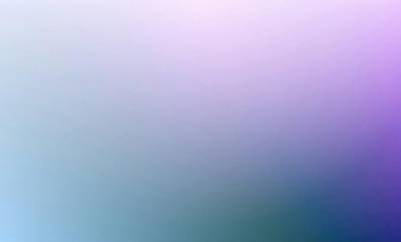 phone number verification request