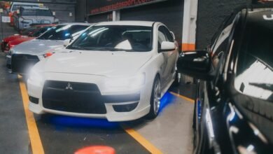 future growth and performance