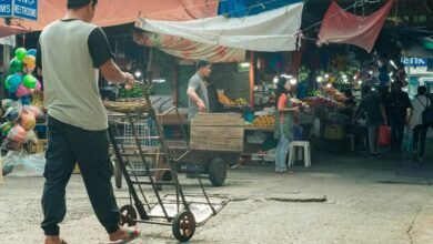 market analysis and trends