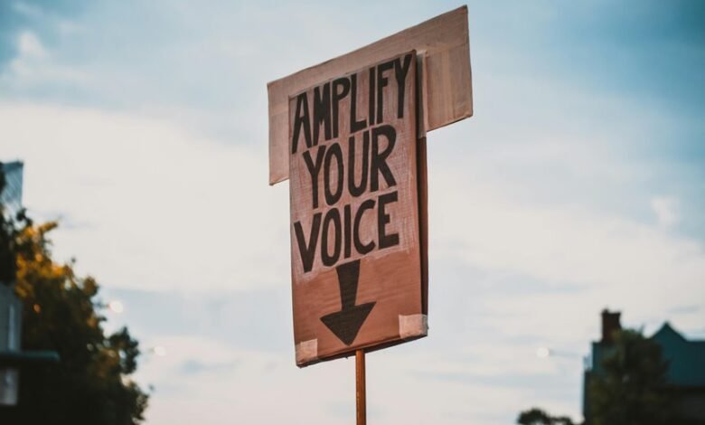 skyline voice axis liaison