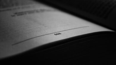 a beginner s guide to 3509