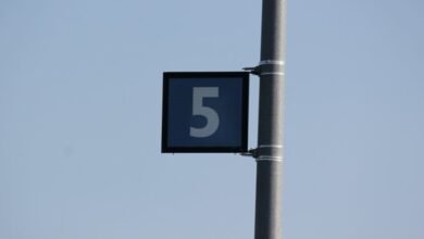 beginner s guide to numbers