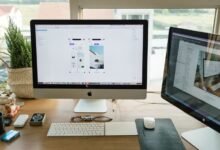 wizzydigital org current significance emphasized